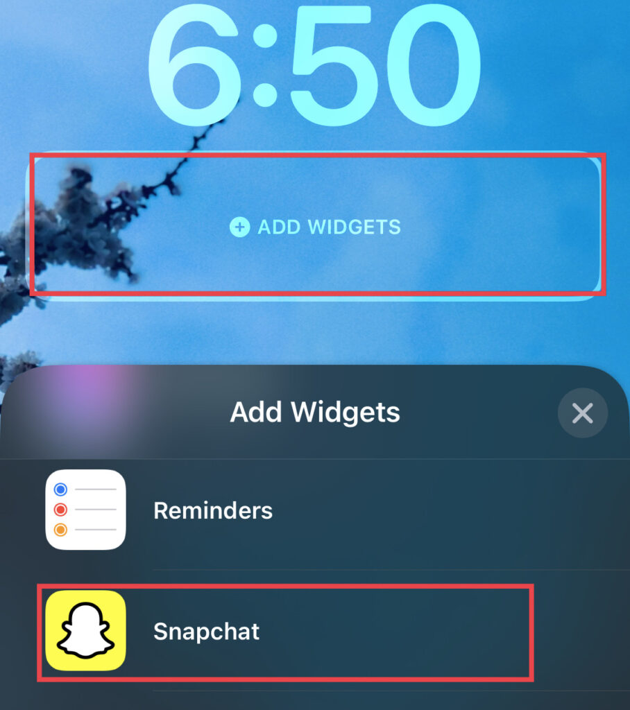 Select the "Add Widgets" column to the Snapchat widgets to it.