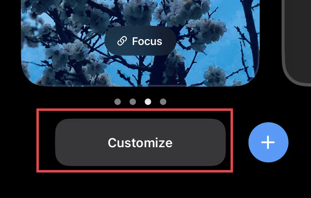 Then tap on the "Customize" button.