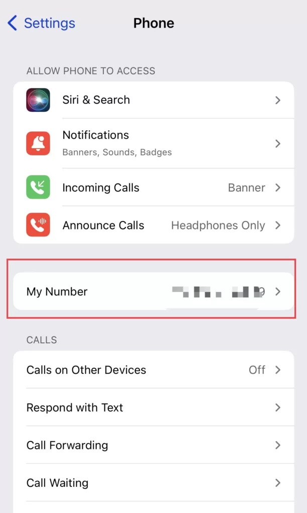 Then on the Phone you can see your phone number in the My Number option.