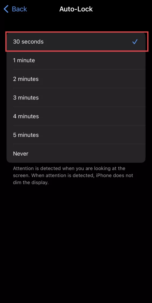 Now select Timer for your iPhone to go to sleep.