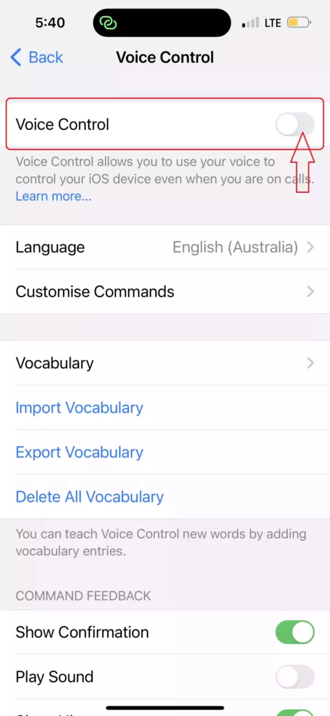 Disable Voice Control