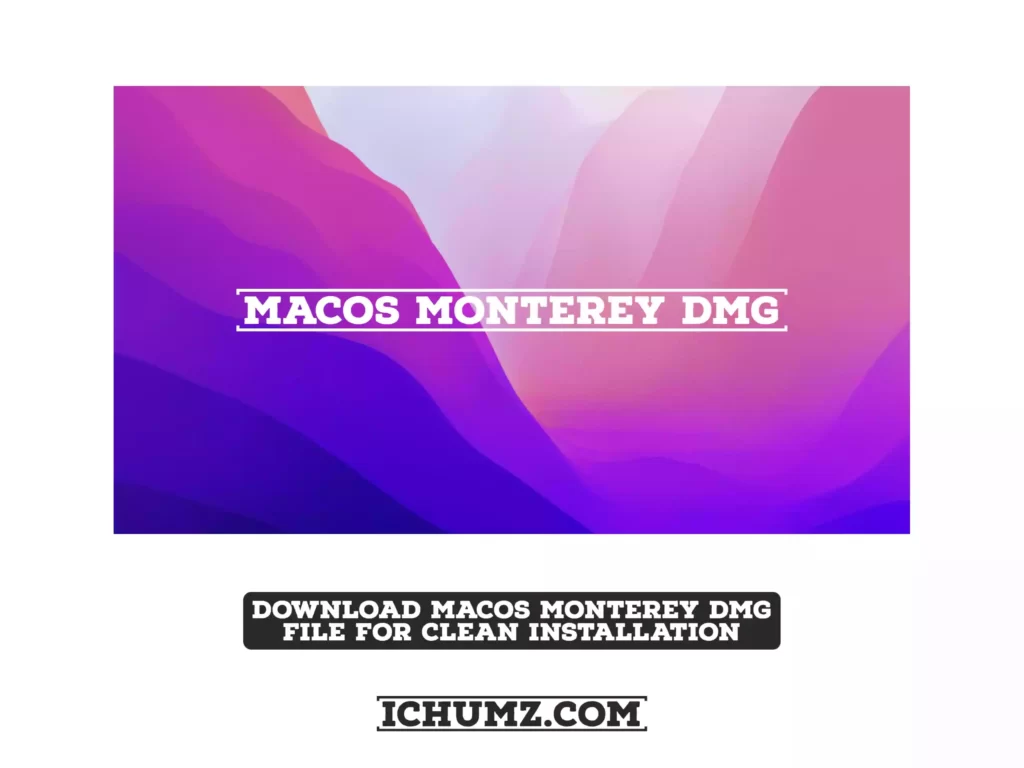 Download macOS Monterey DMG File for Clean Installation - featured image