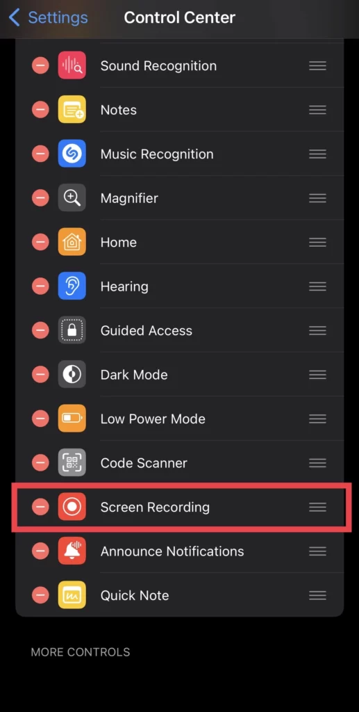 Add Screen Recording to Control Center for the Settings app.