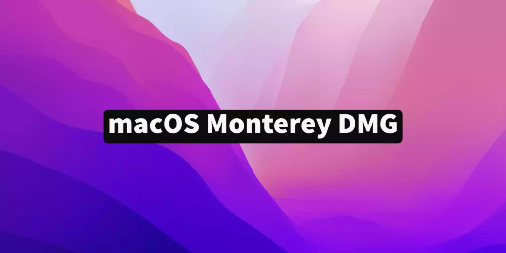 macOS Monterey DMG