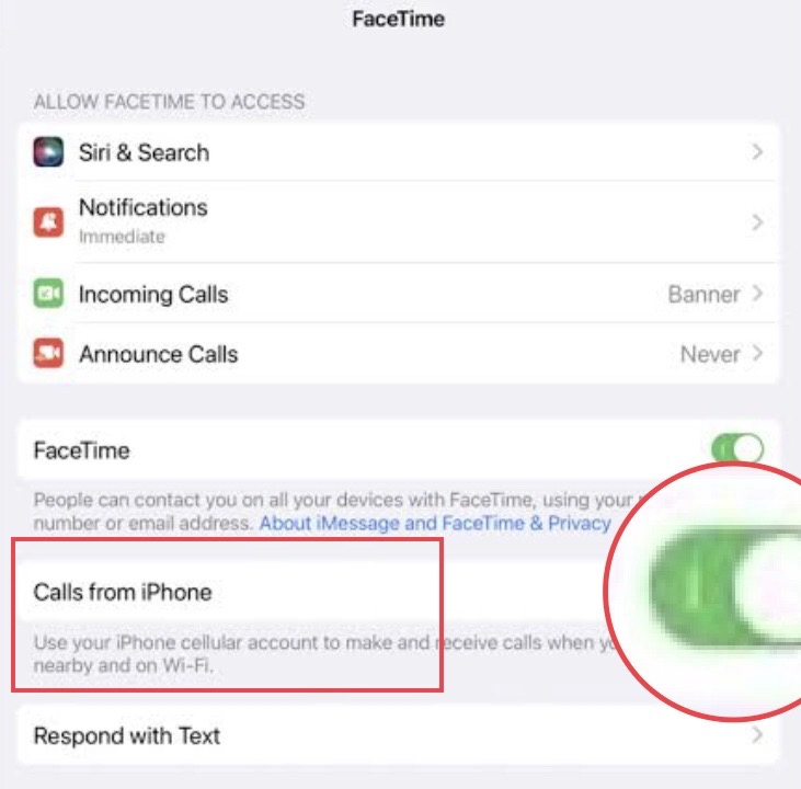 Turn on the Calls from iPhone option on your iPad.