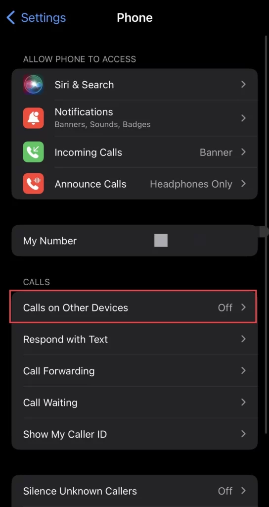 Now tap on Calls on Other Devices.