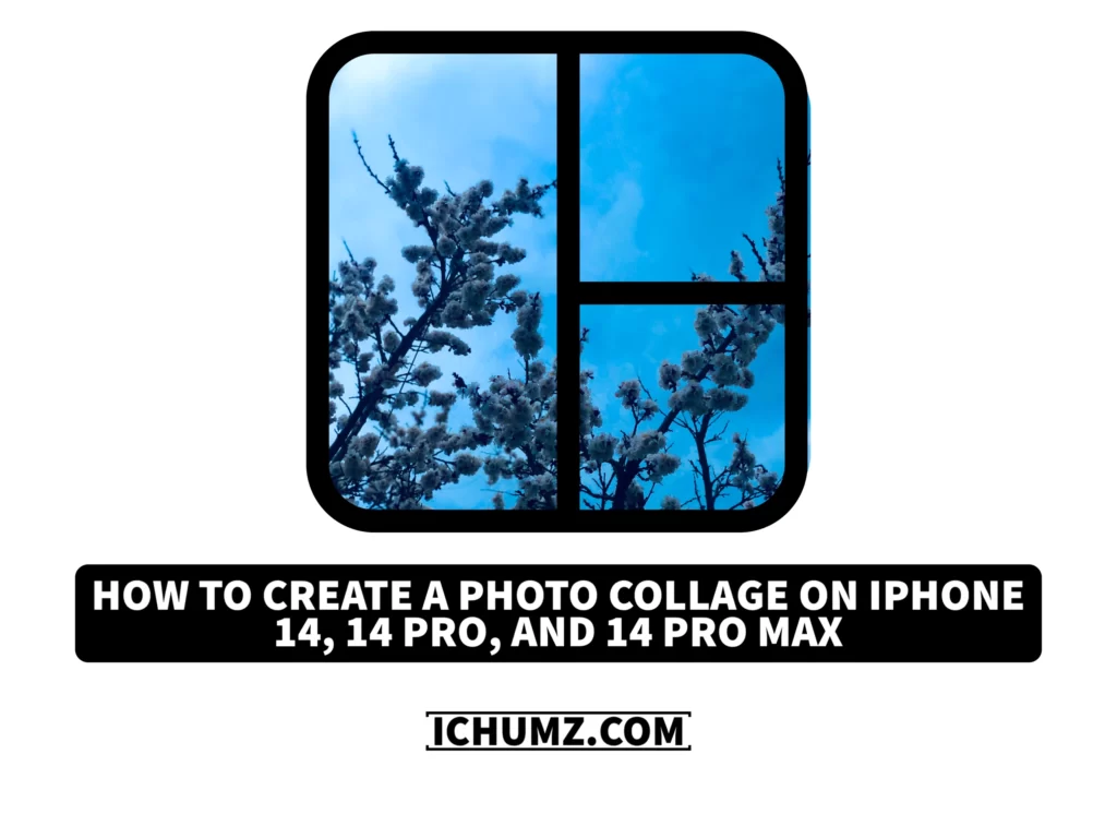 How To Create A Photo Collage On iPhone 14, 14 Pro, And 14 Pro Max iChumz