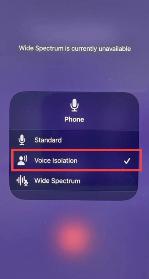 Now select Voice Isolation.