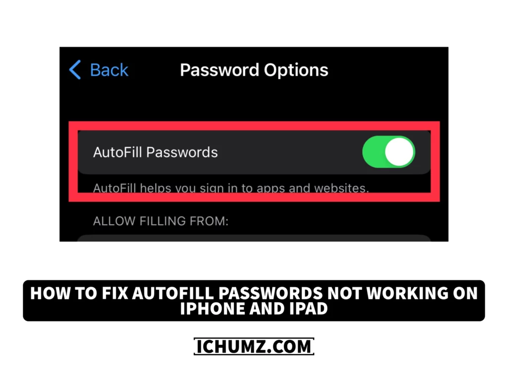 how-to-fix-autofill-passwords-not-working-on-iphone-and-ipad-ichumz