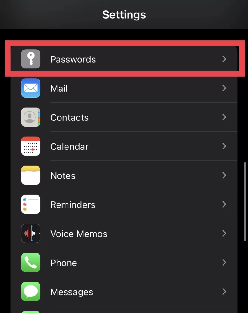 Tap on Passwords from Settings menu.