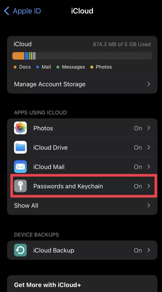 Now tap on Passwords and Keychain.