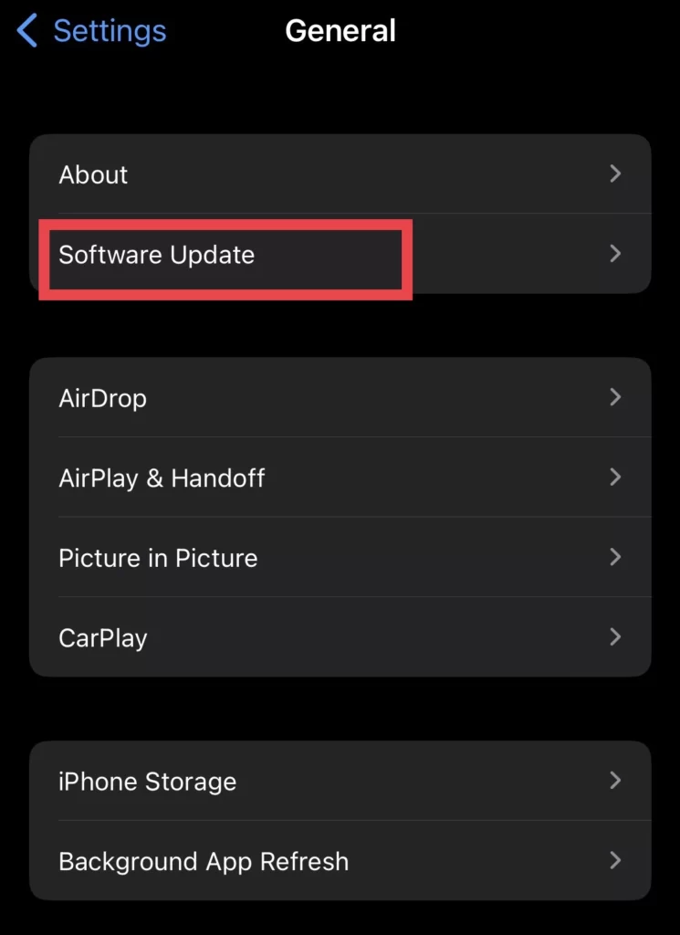 Tap on Software Update in the General menu.