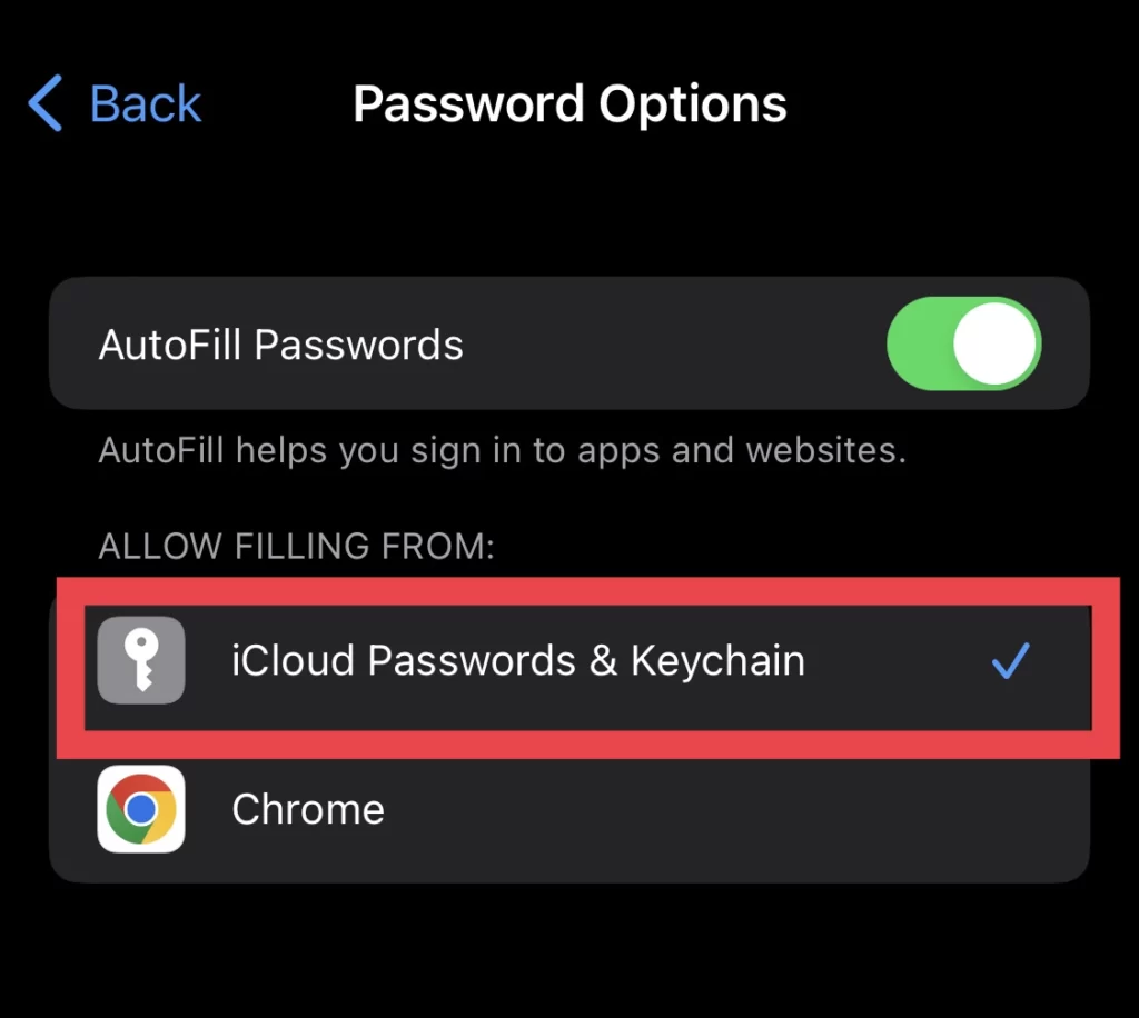 And tich the iCloud Passwords & Keychain option.