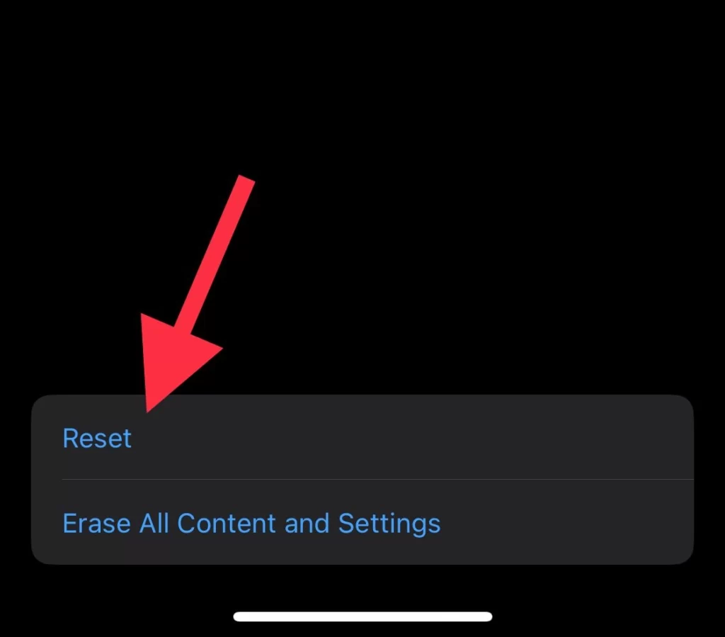 Then tap on Reset.